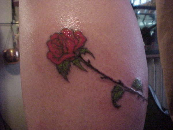 rose around leg...part 1 tattoo