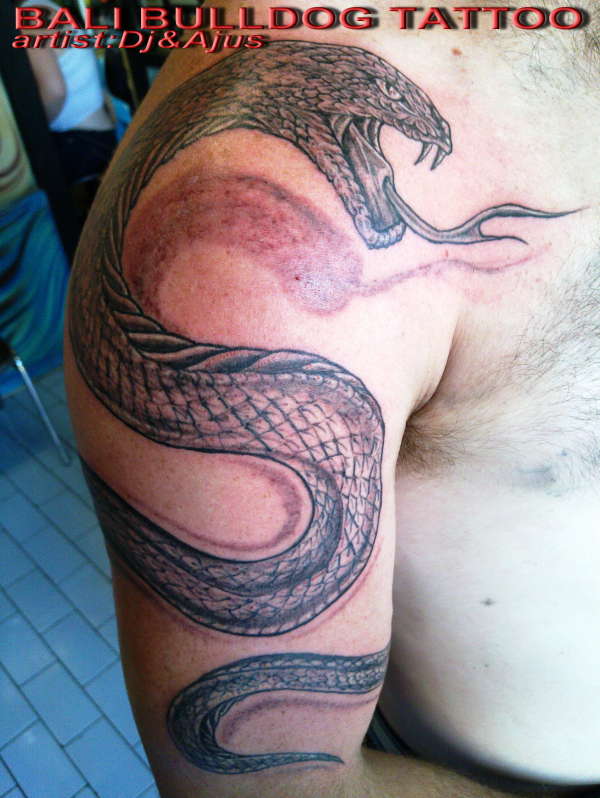 snake tattoo