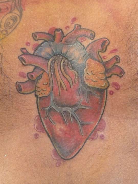 Anatomical Heart by Alison Gardiner Wizard Tattoos South London tattoo