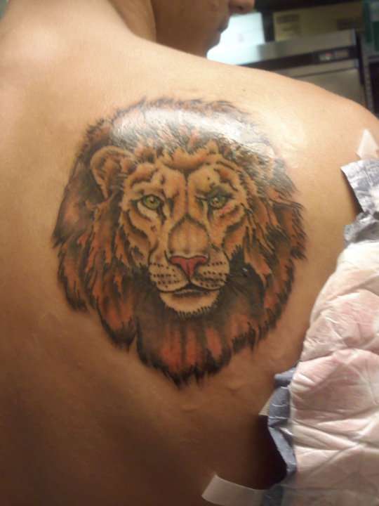 Lion tattoo