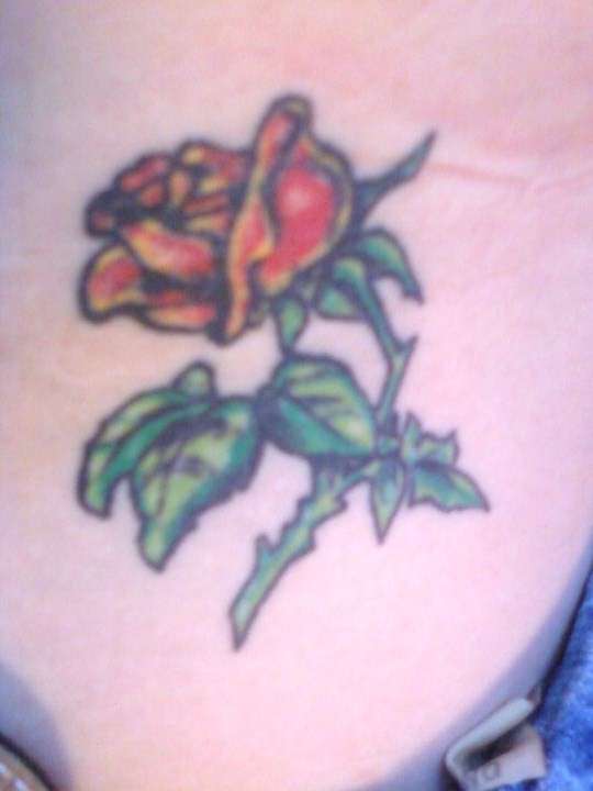 Rose Tattoo tattoo