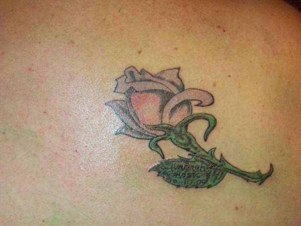Rose tattoo