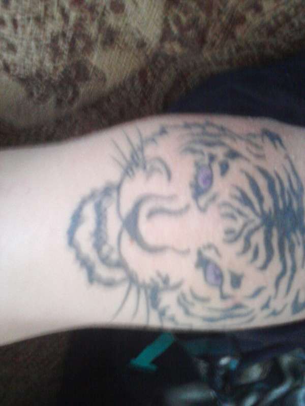Tiger tattoo