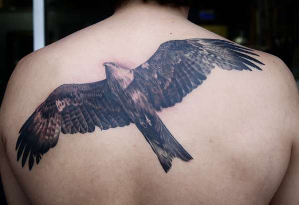 Black Hawk Tattoo by Aundrea Singer