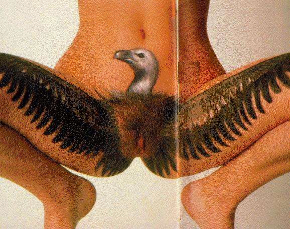 Spread eagle tattoo