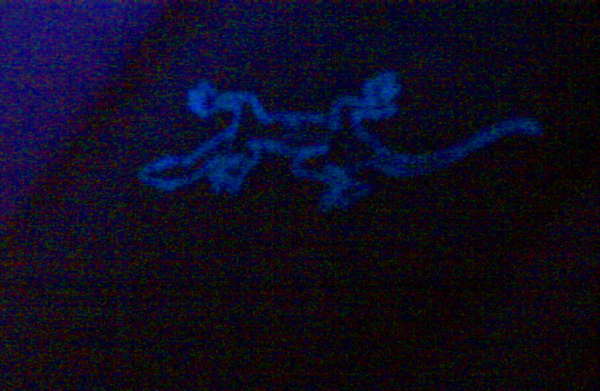 UV Lizzard tattoo