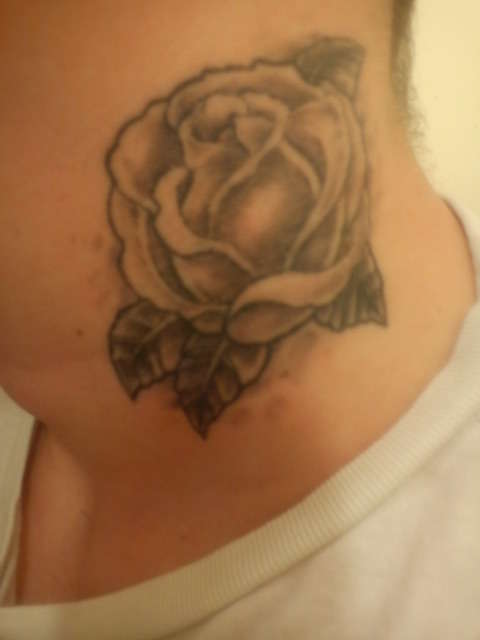 rose tattoo