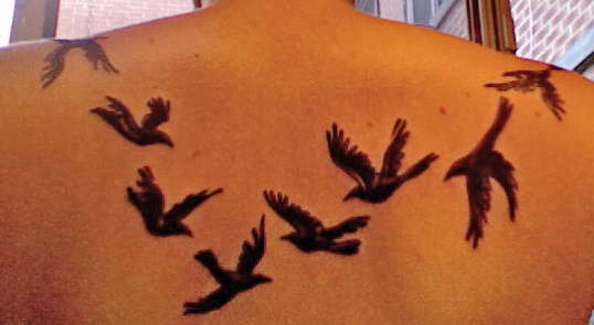 Upper back - birds tattoo