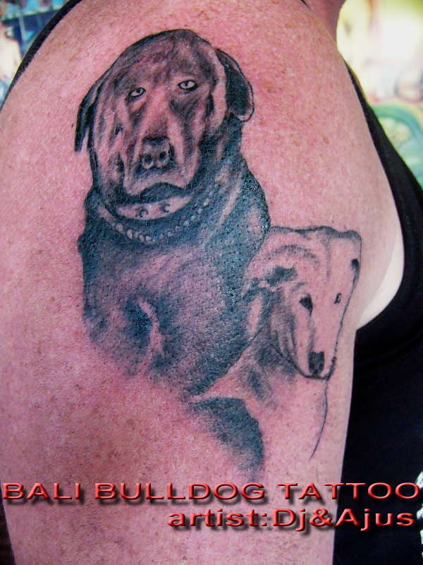 dogs portrait tattoo