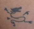 dragon tattoo