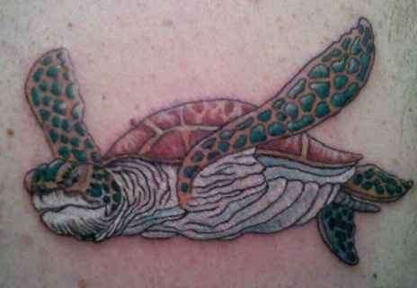 seaturtle tattoo