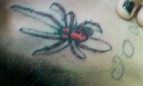 spider tattoo