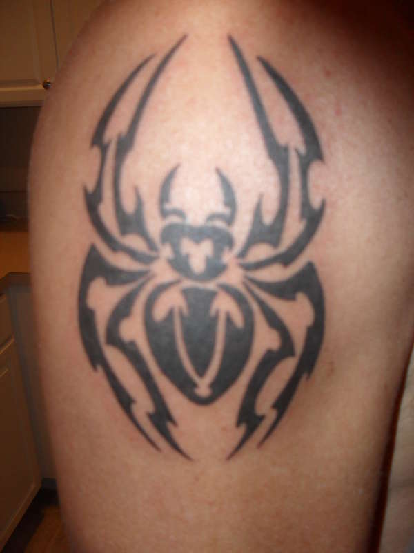 my spider tattoo