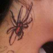 spider tattoo tattoo