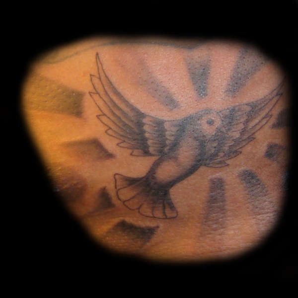 DOVE tattoo