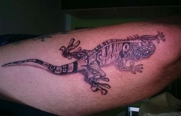 My Iguana Lizard tattoo