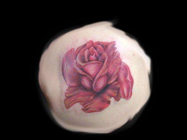 Rose tattoo