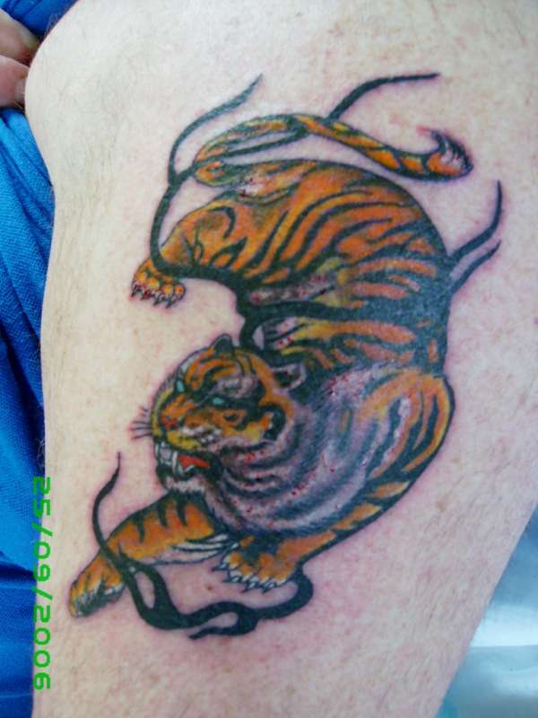 colour tribal tiger tattoo oriental mens arm tattoo