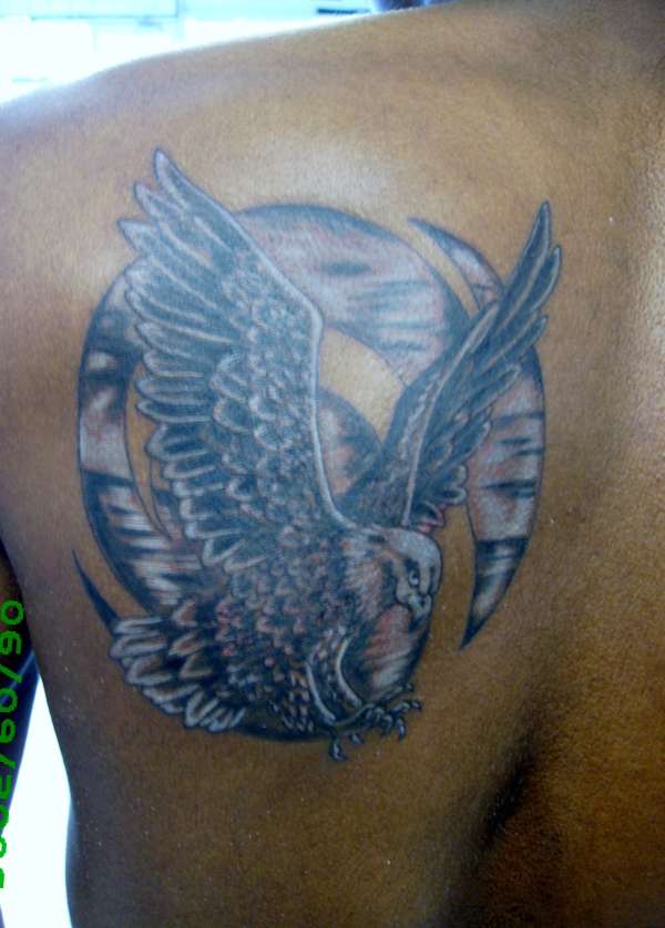 grey and white eagle in scene mens back tattoo