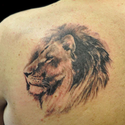lion tattoo