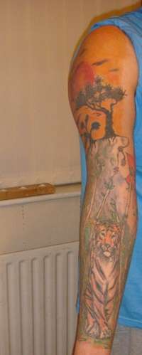 my sleeve tattoo