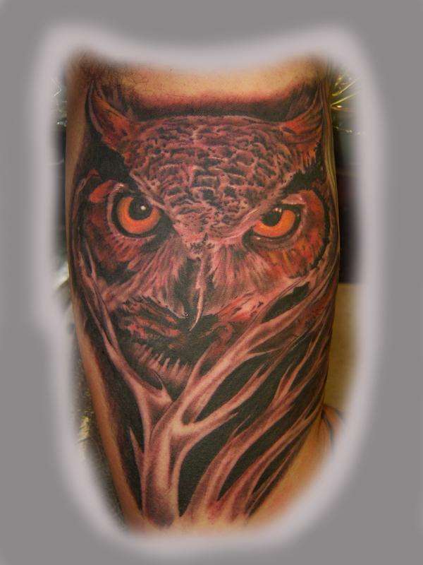 owl tattoo www.tattoosbynatedog.com tattoo