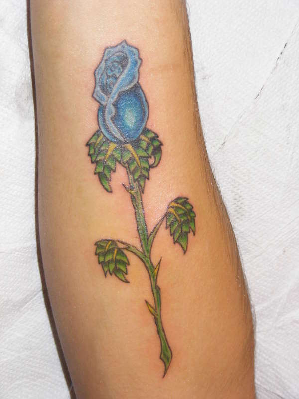 rosa azul tattoo