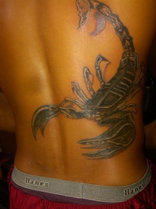scorpion tattoo