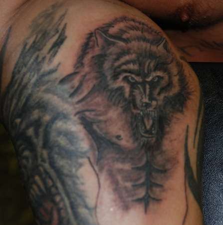 wolf on my own arm tattoo