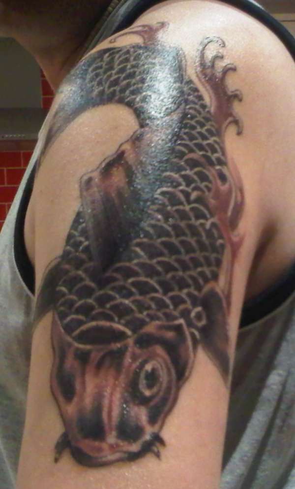 1hr after getting Koi shaded in tattoo