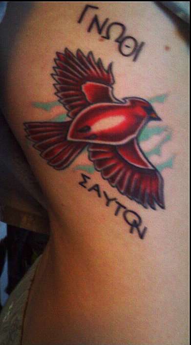 Cardinal Outline Temporary Tattoo / Bird Tattoo 