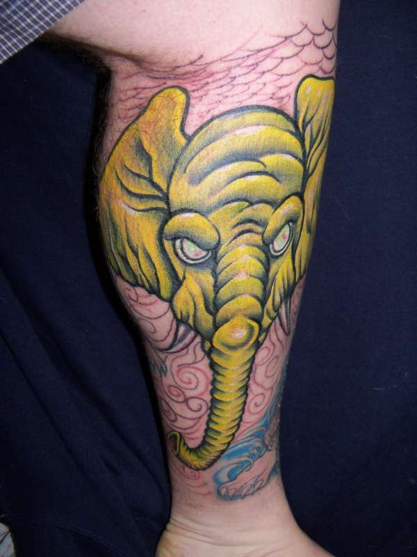 My Elephant Tattoo - first session tattoo