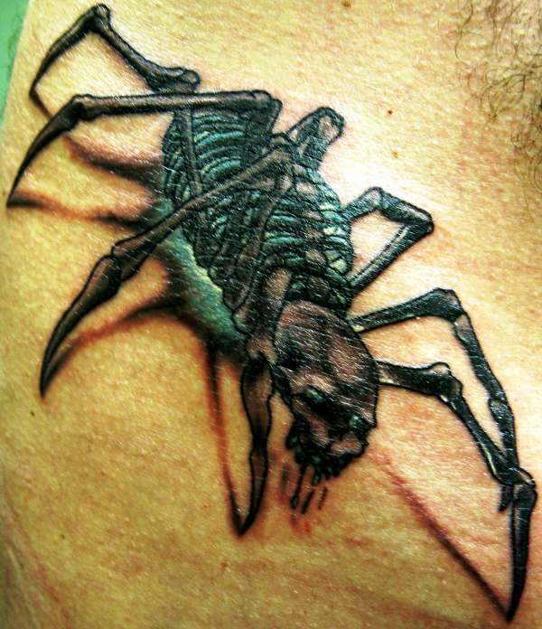 Skeleton Spider tattoo