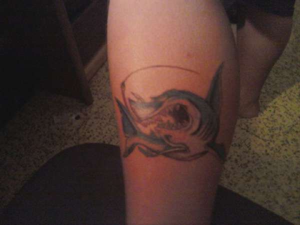the reel animals shark tattoo