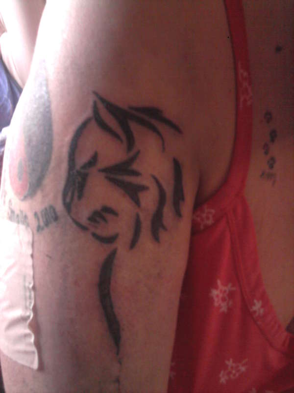 tribal cat tattoo