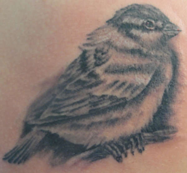 Bird tattoo