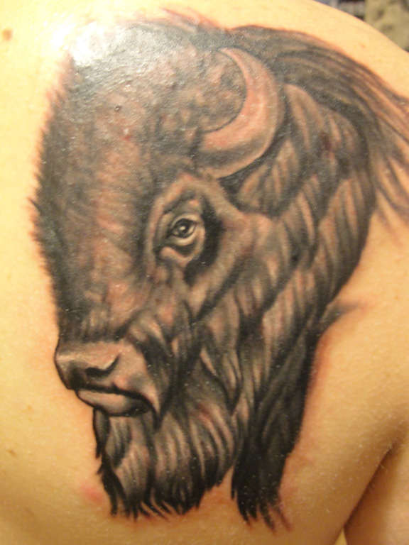 Bison tattoo