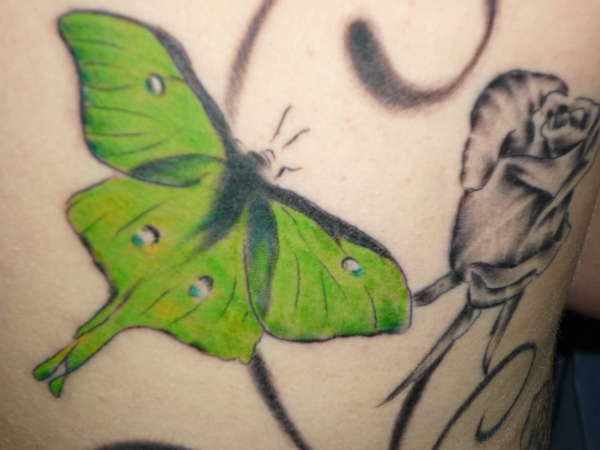traditional lunar moth tattoo
