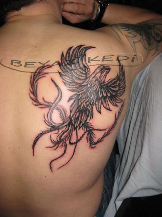 Dövme yapanlar beyaz kedi tattoo