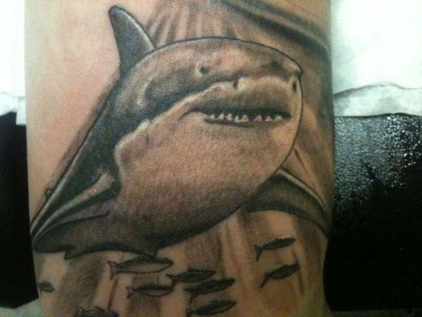 Great White Shark tattoo