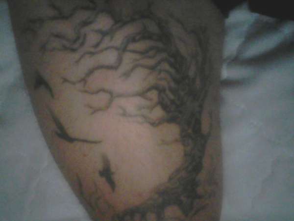 Tree tattoo