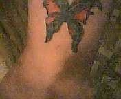 Confederate Butterfly tattoo