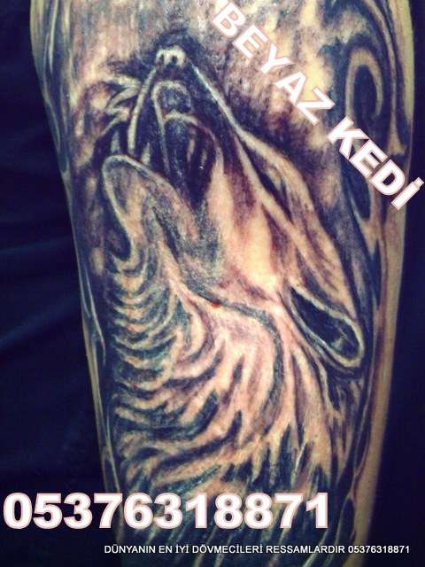 istanbul dövmeci beyaz kedi tattoo