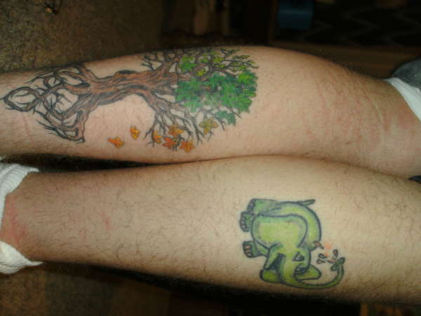 My tree, And the elephant tattoo