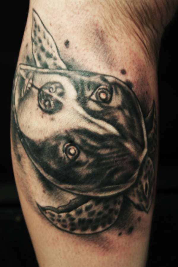 Something wicked tattoo tattoo