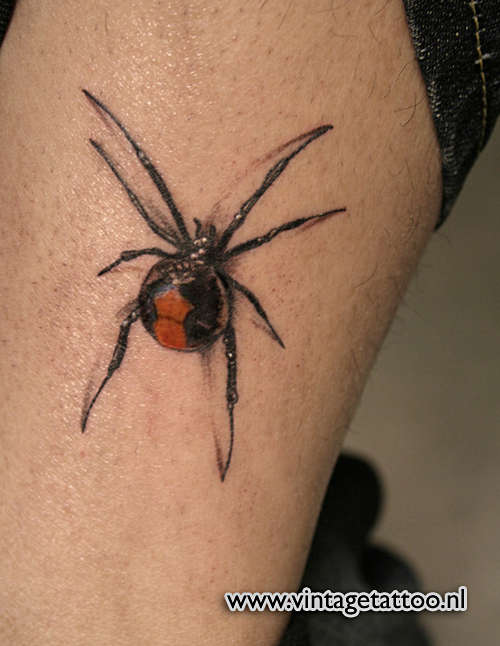 Spider tattoo tattoo