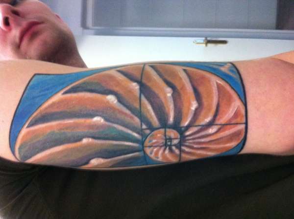 Spiral Shell Color tattoo