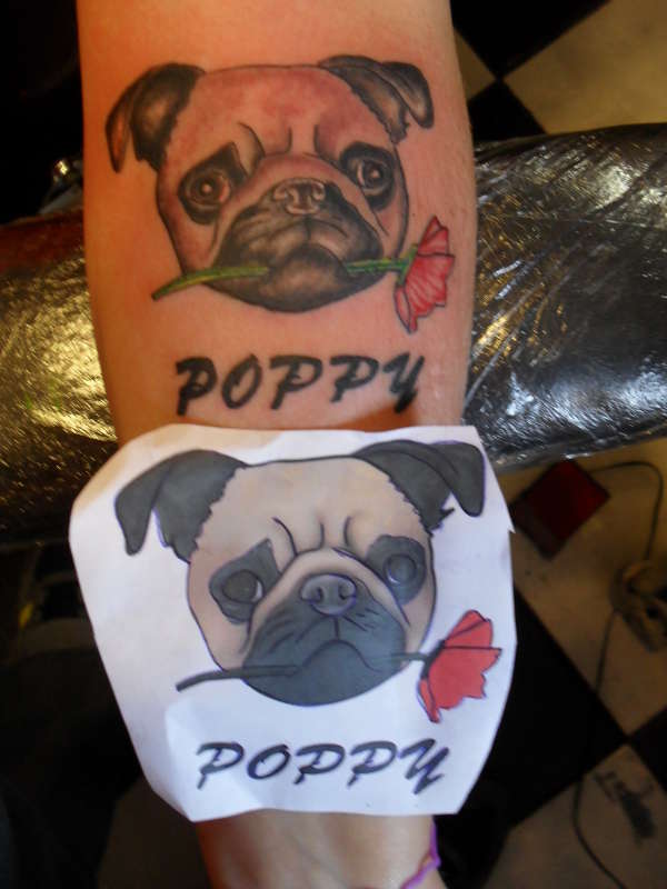 dog tattoo tattoo