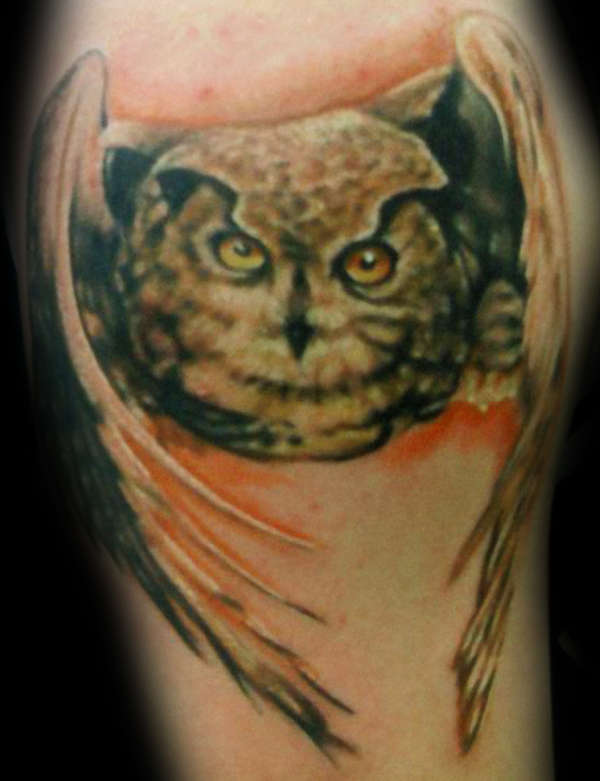 owl tattoo