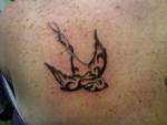 My sparrow tattoo